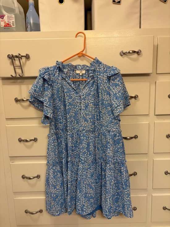 entro Dresses & Skirts - entro Blue and White Floral Ruffle Sleeve Dress